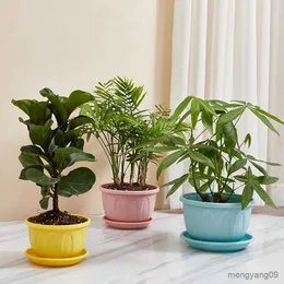 Planters POTS Flower Pot With Pray Lightweight Plastic Flower Vegetabiliska Planters Simple Office Garden Pot For Balcony Garden R230621