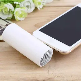 مكبرات الصوت المصغرة Rise-3.5mm Stereo Mini Speaker Portable MP3 Music Player مكبر صوت مكبر صوت مكبر الصوت لجهاز الكمبيوتر المحمول