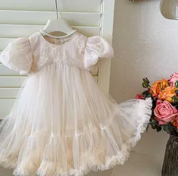 فساتين الفتاة البيع بالتجزئة الجديدة Baby Girls Boutique Soft Mesh Party Dress Princess Kids Fashion Dress Fress Holdy 2-7 T AA230531