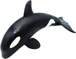 5 Inch Killer Whale Figure Realistic Sea Animal Figurines Hand Painted Fish Shark Marine Life Realistic Ocean Creatures Models 1224548