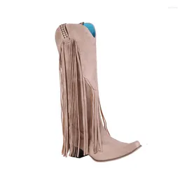 Boots Chunky Heel Ethnic Style Fringed Western Plus Size Slip-On Women's Mid-Calf Nubuck Flock Cowboy Pointed Toe