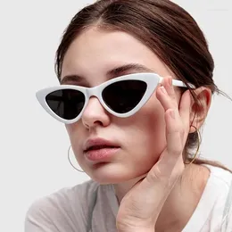 Occhiali da sole Stile gatto donna donna venatura vintage lente triangolo femminile per donne goggles telaio di plastica