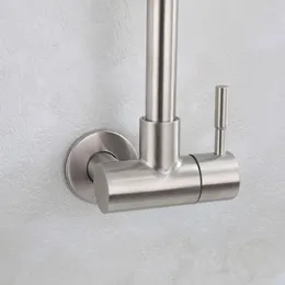 Rubinetti per lavabo da bagno Rubinetto da cucina a parete in acciaio inossidabile Rubinetto monoforo Miscelatore beccuccio freddo Testa spruzzatore per cucine Bar