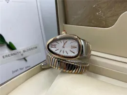 Women's watch, 32mm, stainless steel, double wound serpentine, imported quartz movement, spring strap, small fashion watches