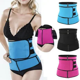 Kadın şekillendiricileri korse bel eğitmeni eğitim şekillendirici gövde shapewear underbust cincher karın zayıflama kemeri fermuar 3fs