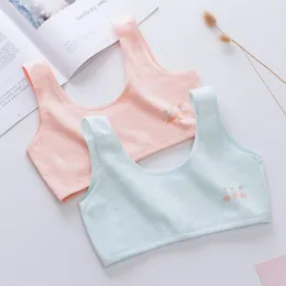 Camisoles & Tanks Underwear Female Student Girl Pure Cotton Junior Double Layer Anti-bump Development Little Small Tank Top Bra