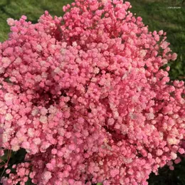 Kwiaty dekoracyjne 100 gulatury wysuszony zachowany gipsophila paniculata Baby's Breath Flower Bukiet Wedding Walentynowe Pary prezenty pampas