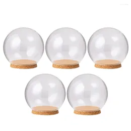 Decorative Flowers 5 Pcs Clear Vase Delicate Glass Cover Protector Ornament Dustproof Small Exquisite Adornment Dome Immortal Child