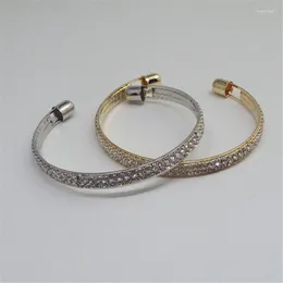 Bangle Fashion Rose Gold Silver Color Luxury Big Circlet Bracelet Высококачественный страх стразы для женщин для женщин подарки для девочек Melv22