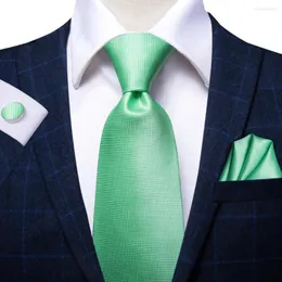 Bow Ties Nane Yeşil Katı 2023 Elegant Mens Tie Beyler Erkekler İçin Kravat İşi Mandal Sandık Kemer