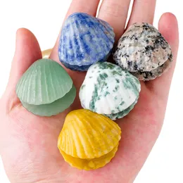 Mini Quartz Crystal Carved Shell Decoration Pendant Various Healing Gemstone Household Decoration Crafts