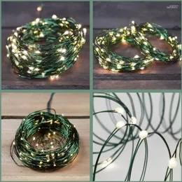 Dizeler 100m LED String Işıkları Yeşil Tel Peri Sıcak Beyaz Çelenk Açık Home için Noel Düğün Bahçesi Dekorasyon