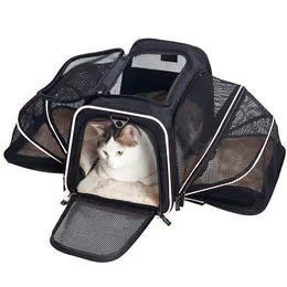 Bolsa para gato grande capacidade portátil bolsa para animal de estimação espaço respirável bolsa para cachorro mochila para gato caixa de aviação 230615