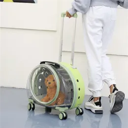 Passeggiatori Yokee Pet Portable Borsa Pulnica Pull Asta Borsa gatto trasparente per cani Borsa per cani FORNITURA PER CATTO DI CATTO E DANNO CATTO