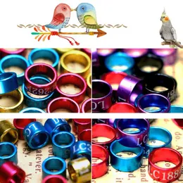 Träning 50 PCS Multicolor Bird Parrot Clip Rings Bands Clip on Leg Rings for Pigeons Foot Ring Tools Chicks Bantam Quail Pigeon Supplies