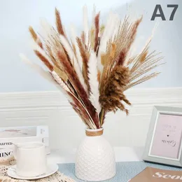 Getrocknete Blumen natürliches trockenes Pampagras Home Style Dekor Phragmites Blumenstrauß für Hochzeitsarrangement Weihnachtsdekoration