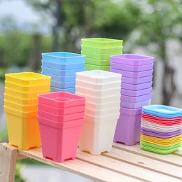 1000Pcs Thickening Square Plastic Flower Pot Succulents Planting Nursery Pots With Drain Hole Tray Reusable Plants Garden Tools