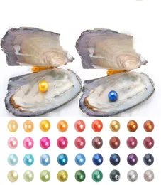 2019 Pearl Oyster con Natural Grade 67 mm Round Multicolor Freshwater Wish Pearl Paquete al vacío para niños Party Fun Gifts6771436
