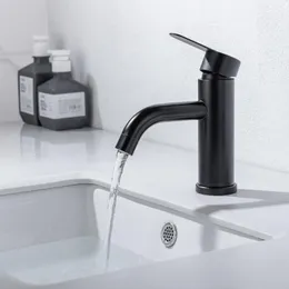Bathroom Sink Faucets Basin Faucet Cold Water Mixer Tap Stainless Steel Matte Black Single Hole & Handle