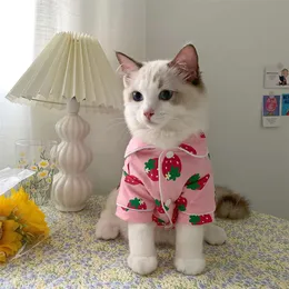 ملابس الربيع القط اللطيف ملابس الحيوانات الأليفة مريحة لقطط كاتن كيدي هوديي التميمة Gato Sweatshirt Cat Sweater Pets Wetfit