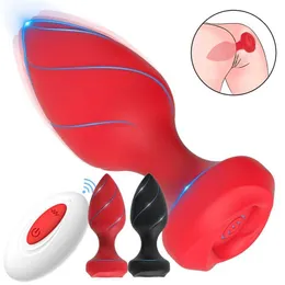 Wensheng Boke Vestibular Plug Massaggiatore di vibrazione maschile e femminile Prodotti sessuali per adulti 85% di sconto sulle vendite di fabbrica