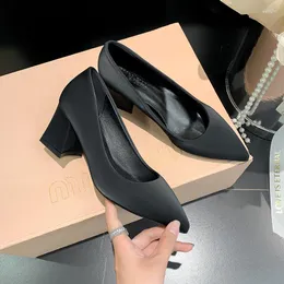 Dress Shoes Brand 2023 Summer Sexy Pointed Women's High Heels Elegant Zapatos Vestir Mujer Plus Size 35-42