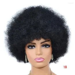 합성 가발 짧은 머리 아프로 변태 곱슬 흑인 여성을위한 앞머리 아프리카 옹 브르 글루리스 코스프레 자연 금발 레드 블루 가발 kend22
