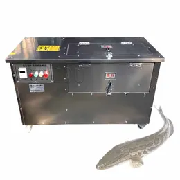 Commercial XT-ZXY01 Type Electric Scraping Fish Scale Maker Automatic Remove Fish Scale Machine Stainless Steel Fish Scal Scrap