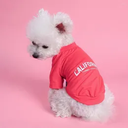 Vêtements pour chiens été T-Shirt pour animaux de compagnie lettre imprimé pull à deux pattes chat haut vêtements pour petit moyen grand Costume