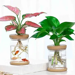 プランターポットミニ水耕栽培植木鉢の家の装飾透明なガラスの植物ポット緑の植物植物ホームデコレーションR230621