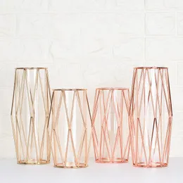 Vases Modern Fashion Champagne Gold Hydroponic Flower Pot Vase Nordic Iron Rose Study Hallway Roon Home Wedding Decoration