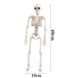 Andra kontorsskolan levererar människor Aktiv modell Skeleto Anatomy Skeleton Learning Halloween Party Decoration Art Sketch 230627