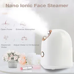 Steamer Nano Sprayer Idratante viso Inverno Cura della pelle Umidificatore Ionic Spa Nebulizer 230628