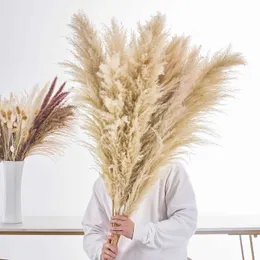 Kurutulmuş çiçekler çim 120cm naturelles fleur pampa buket fleurs Phragmites communis dekorasyon mariage maison salon boheme