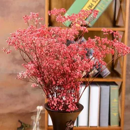 말린 꽃 80-100g 자연스러운 신선한 보존 베이비 스크로스 꽃 진짜 영원히 전시 된 꽃다발 웨딩 파티 소재 홈 장식
