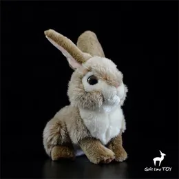 Plyschdockor brun kanin fidelity anime söt kanin plyshie hare plysch leksaker livtrodliga djur simulering fylld dockan kawai leksaksgåvor barn 230629