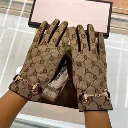 Kvinnor Designer Vante Fårskinnshandskar Med Box Vinter Lyx Äkta Läder Märken Big Fingers Handske Varm Cashmere Inuti Touch Screen