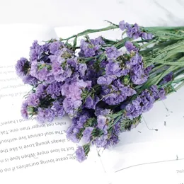Dried Flowers Natural Real Flower Bouquet Wedding Bridal Do Not Forget Me Gifts Green Plants Decor For Home Bedroom