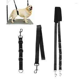 Dog Collars 3Pcs/Set High Quality Adjustable Traction Noose Restraint Durable Puppy Beauty Rope Bathing Harness Strap Pet Supplies