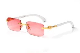 Brand Designer Sunglasses for Men Fashion C Decor Women Sunglasses Polarized Eyeglasses Buffs Eyewear Accessory Summer Man Glasses Female Girl Lunettes Luxu Femme
