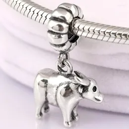 Löst ädelstenar original vintage söt kinesisk zodiak de starka oxhängen pärlor passar 925 sterling silver pärla charm armband diy smycken