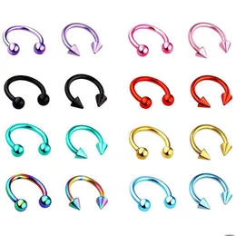 Nasenringe Ohrstecker 16G Hufeisenring Piercing Chirurgenstahl 316L Titan Septum Ohr Nase Lippe Tragus Körperschmuck Drop Lieferung DHSRS