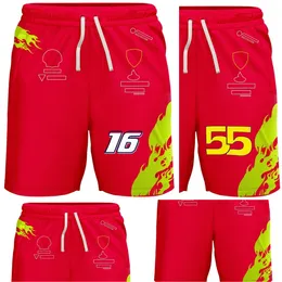 2023 New F1 Men's Summer Shorts Formula 1 Team Racing Quick Dry Sports Shorts Plus Size Baggy Sweatshorts Male Wide Breeches Pants