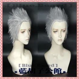 Game Devil May Cry 5 Vergil Short Silver Grey Cosplay Wig183t