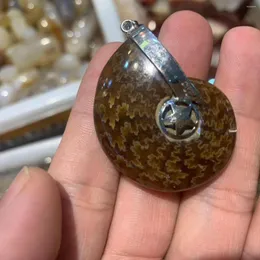 Colares com pingente de pedra de amonite, colar com pedras preciosas naturais, pingentes para homens e mulheres, presente por atacado!