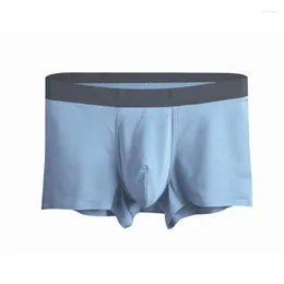 Mutande 2023 Primavera Intimo da uomo 60S Modale Senza Soluzione di Continuità a Vita Media Boxer Traspirante Ultimo Stile Sei Colori