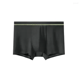 Underpants 2023 Antibacteriano Honeycomb Men Underwear Preto Modal Respirável Juventude Boyshort Moda e Conforto