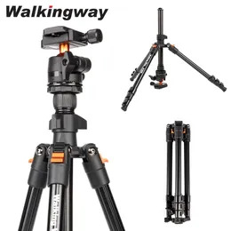 Tripods Walkingway 6299 cali kamera statyw aluminium przenośne Lekka podróżna kompaktowa z głową piłki dla projektora sztaluga 231006