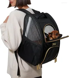 Portadores de gato dobrável viagem pet transportadora macia multi-entrada dobrável portátil caixa de canil para filhote de cachorro mochila de cachorro até 18 libras