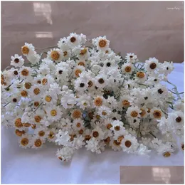 Decorative Flowers Wreaths More Than 60 Flower Heads/Bundle Diy Arrangement Real Natural Dry White Cineraria Bouquet Home Decoration D Dhsgv